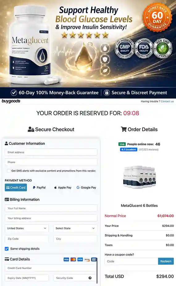 MetaGlucent secure payment checkout